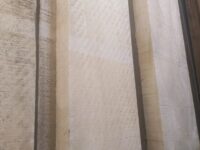 Ξυλεία Poplar