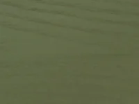 Χρώμα Πράσινο του Βρύου